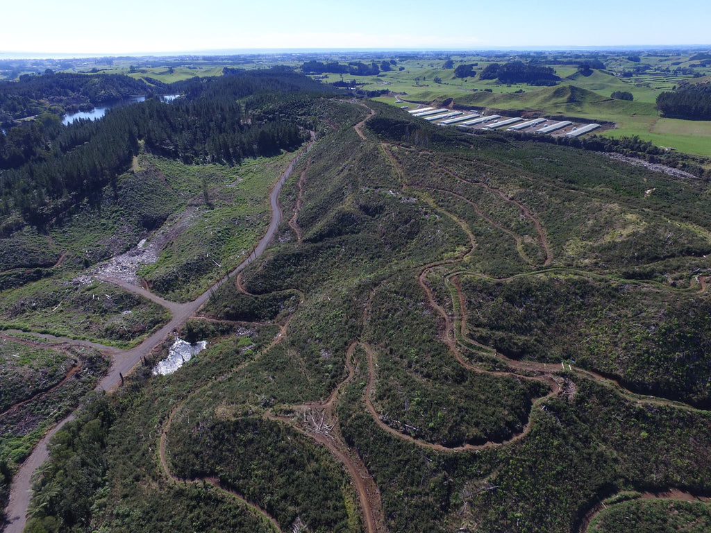 Getting the right mix – of people and trails