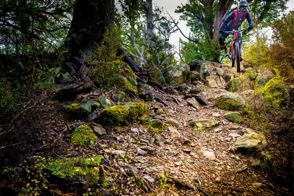 Trail Stories: Navigating Nelson